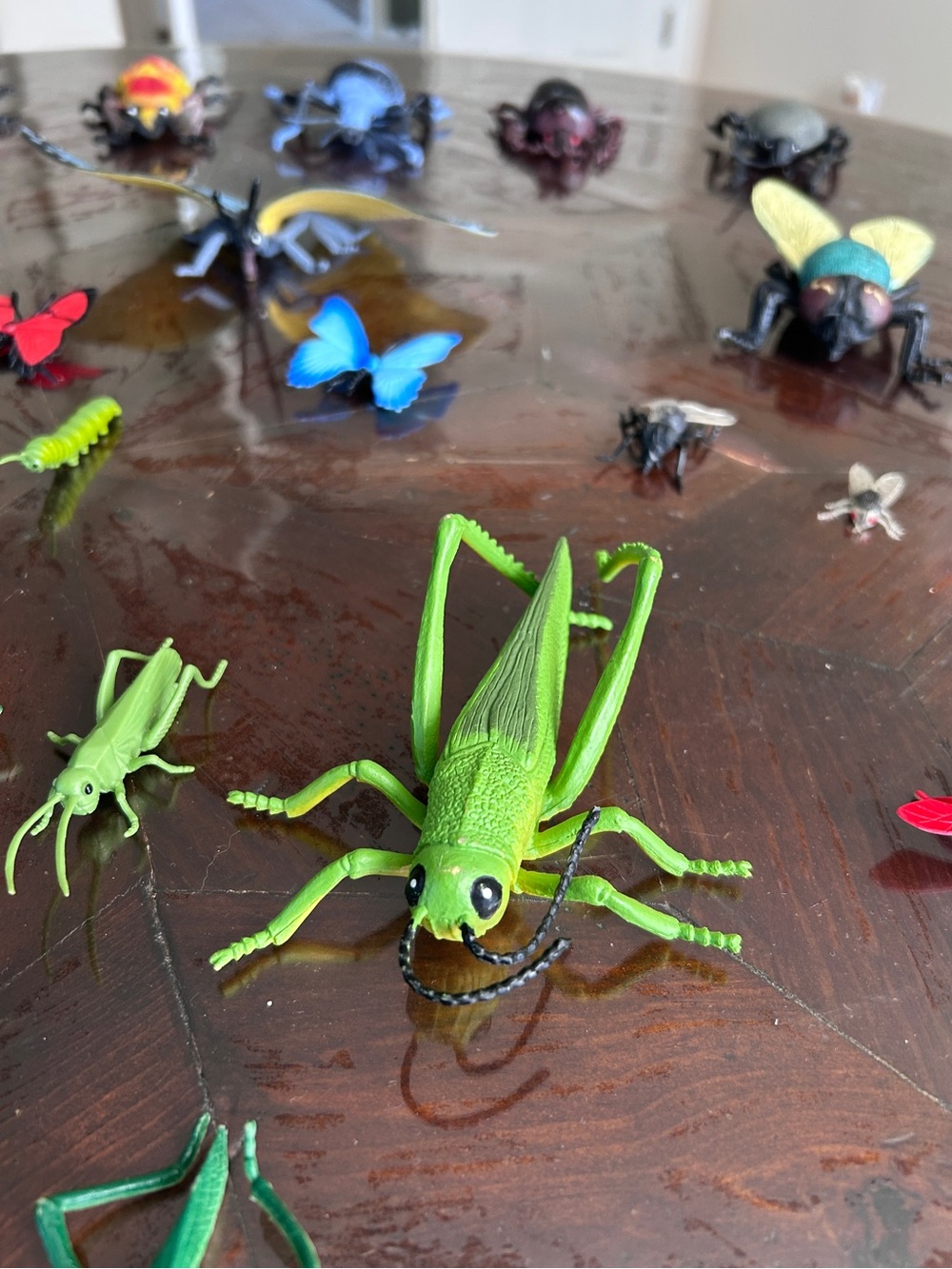 Insect Figurine Collection